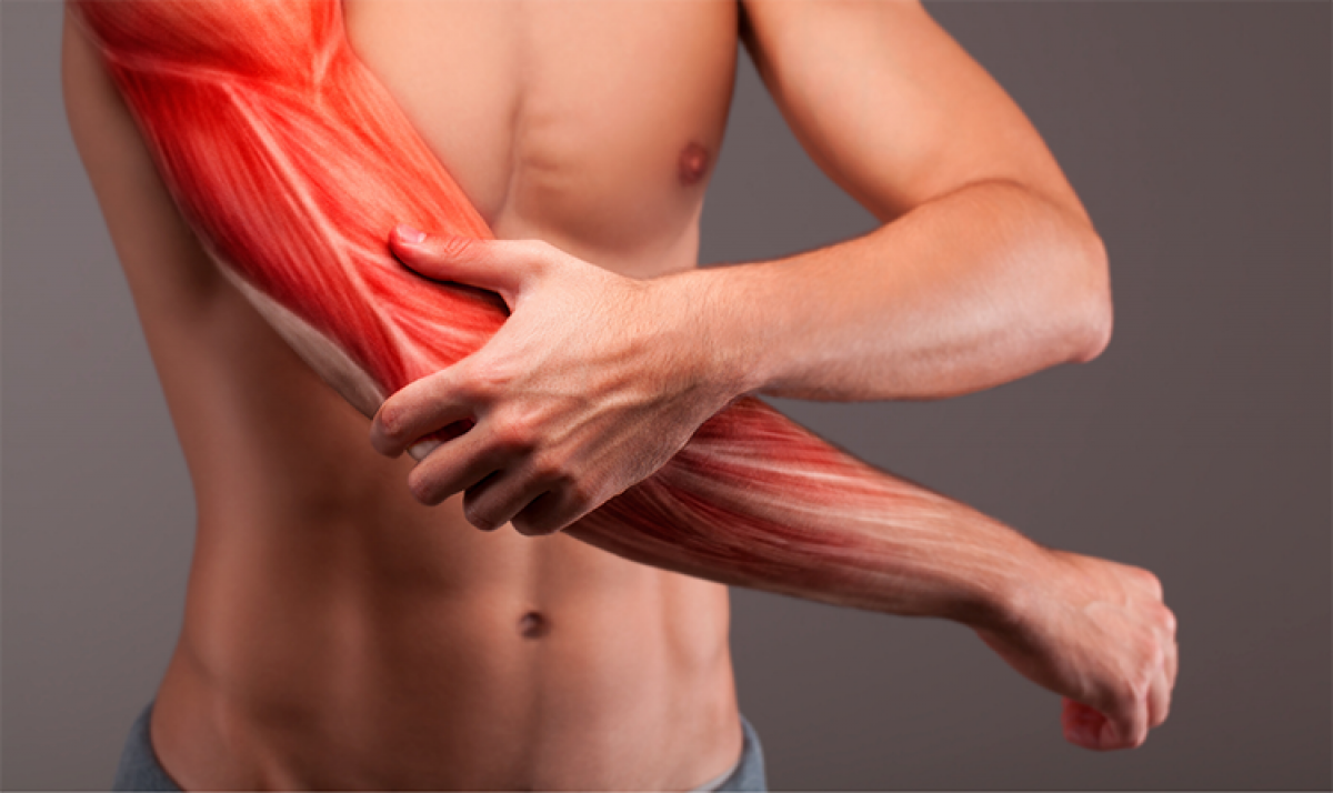 TẬP GYM BỊ ĐAU CƠ LÀ HIỆN TƯỢNG TẠM THỜI KHÔNG QUÁ NGUY HIỂM
