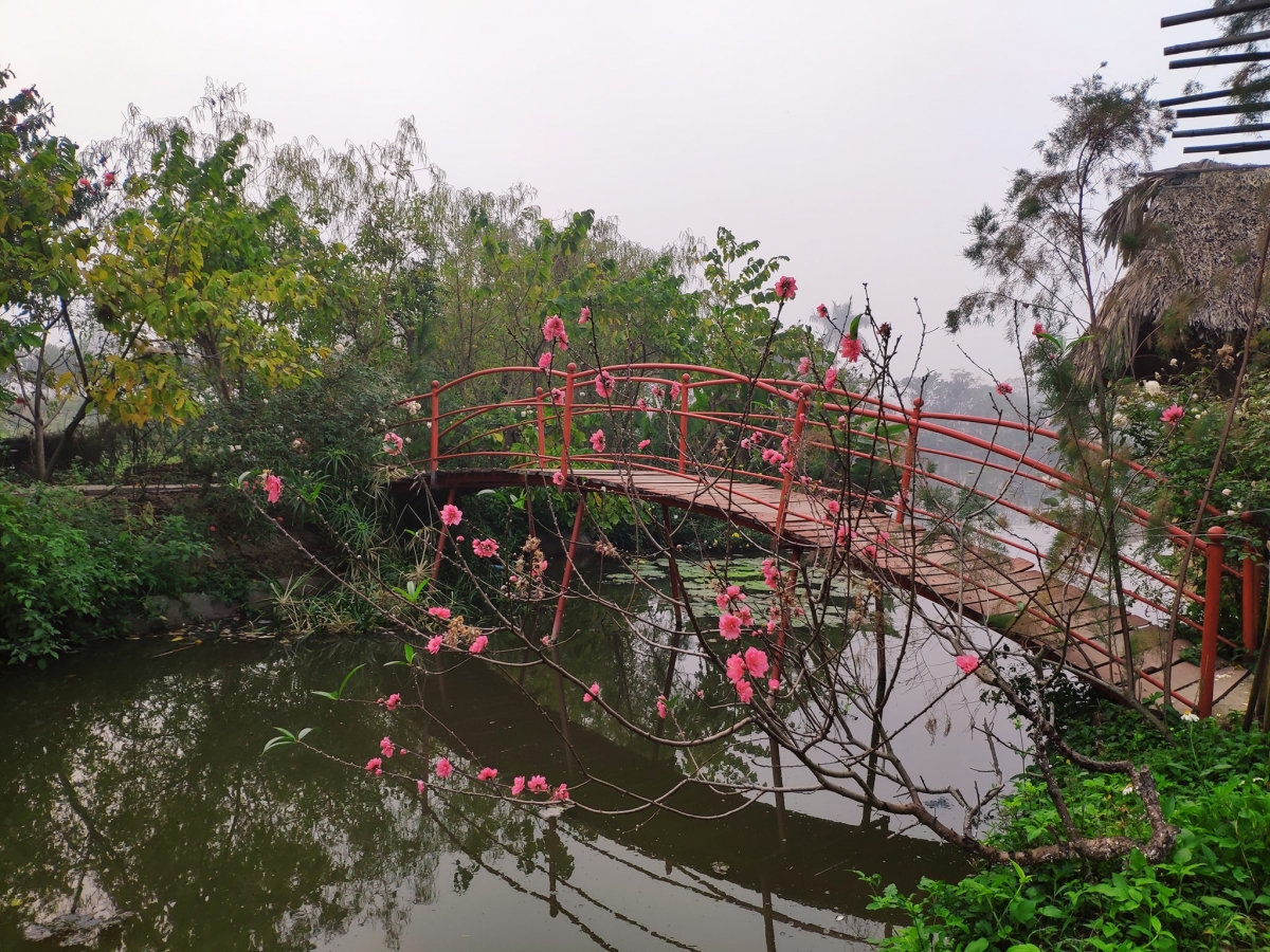 Sắc Xuân còn lưu lại ở một góc Công viên Thực vật cảnh Việt Nam