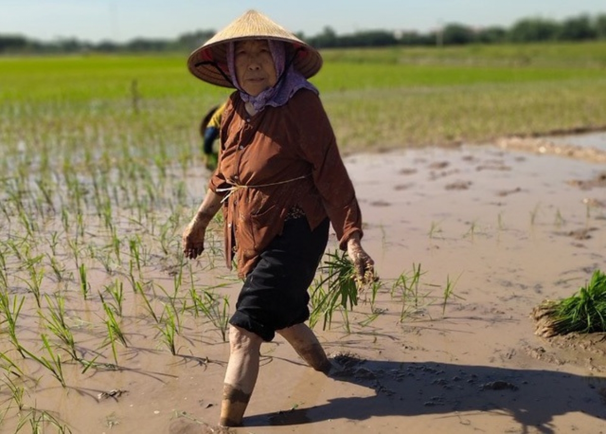 Cụ bà Nguyễn Thị Lìu (88 tuổi)