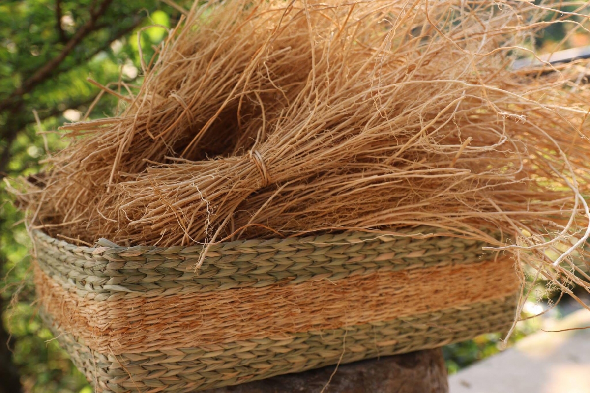 Với hương thơm đặc trưng, bộ rễ cỏ Vetiver phù hợp để sản xuất hương thờ an toàn