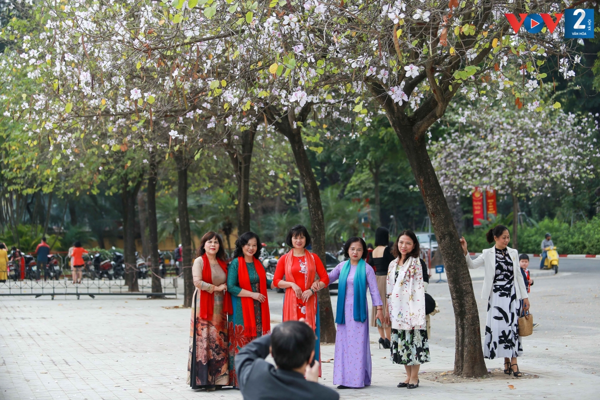 Tuyến đường Bắc Sơn - Hoàng Diệu, nơi hàng cây hoa ban khoe sắc, thu hút đông đảo người dân tới chụp ảnh, lưu giữ kỷ niệm.