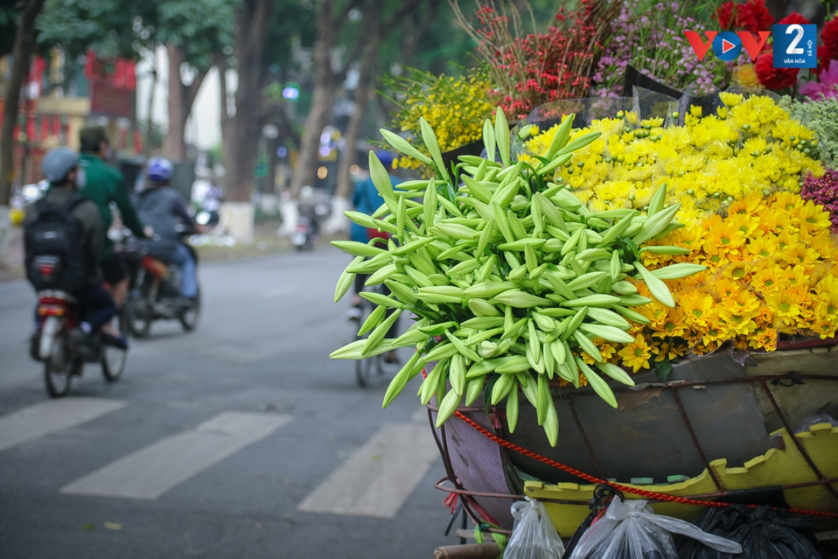 Chị Lan, một người bán hoa rong trên phố Thụy Khuê, mỗi ngày bán được khoảng 500 bông loa kèn. “Mùa này tôi chủ yếu bán hoa loa kèn. Khách mua để chụp ảnh, bày trong nhà, đi lễ”, chị chia sẻ.