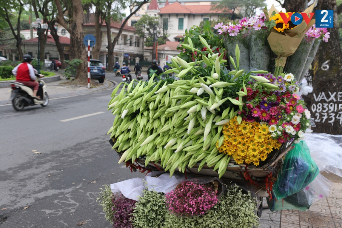 Mặc dù bị xếp lẫn với những loài hoa khác nhưng loa kèn vẫn luôn nổi bật. Loài hoa luôn được ưa chuộng bởi sự bình dị, chân phương.