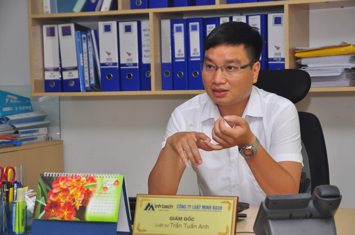 Luật sư Trần Tuấn Anh khẳng định youtuber Thơ Nguyễn đã vi phạm pháp luật