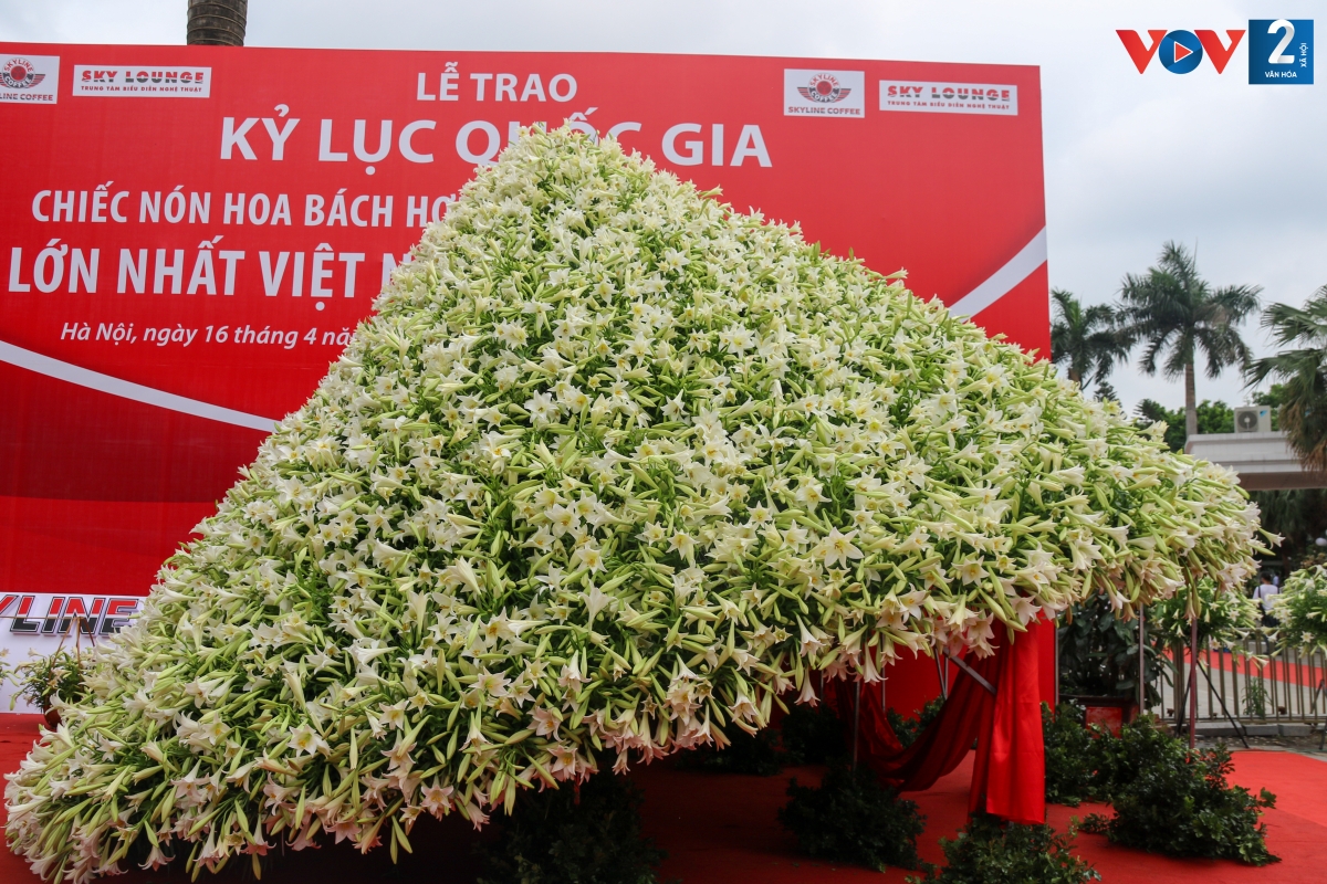 ‘Nón hoa Bách hợp lớn nhất Việt Nam’ là một phần trong kiến trúc hoa đặc biệt mang tên “Đảo hoa Skyline” được phủ bởi khoảng 150.000 đóa hoa bách hợp, được thiết kế và dàn dựng công phu bởi các nghệ nhân hoa với “Nón hoa Bách hợp” là tâm điểm.