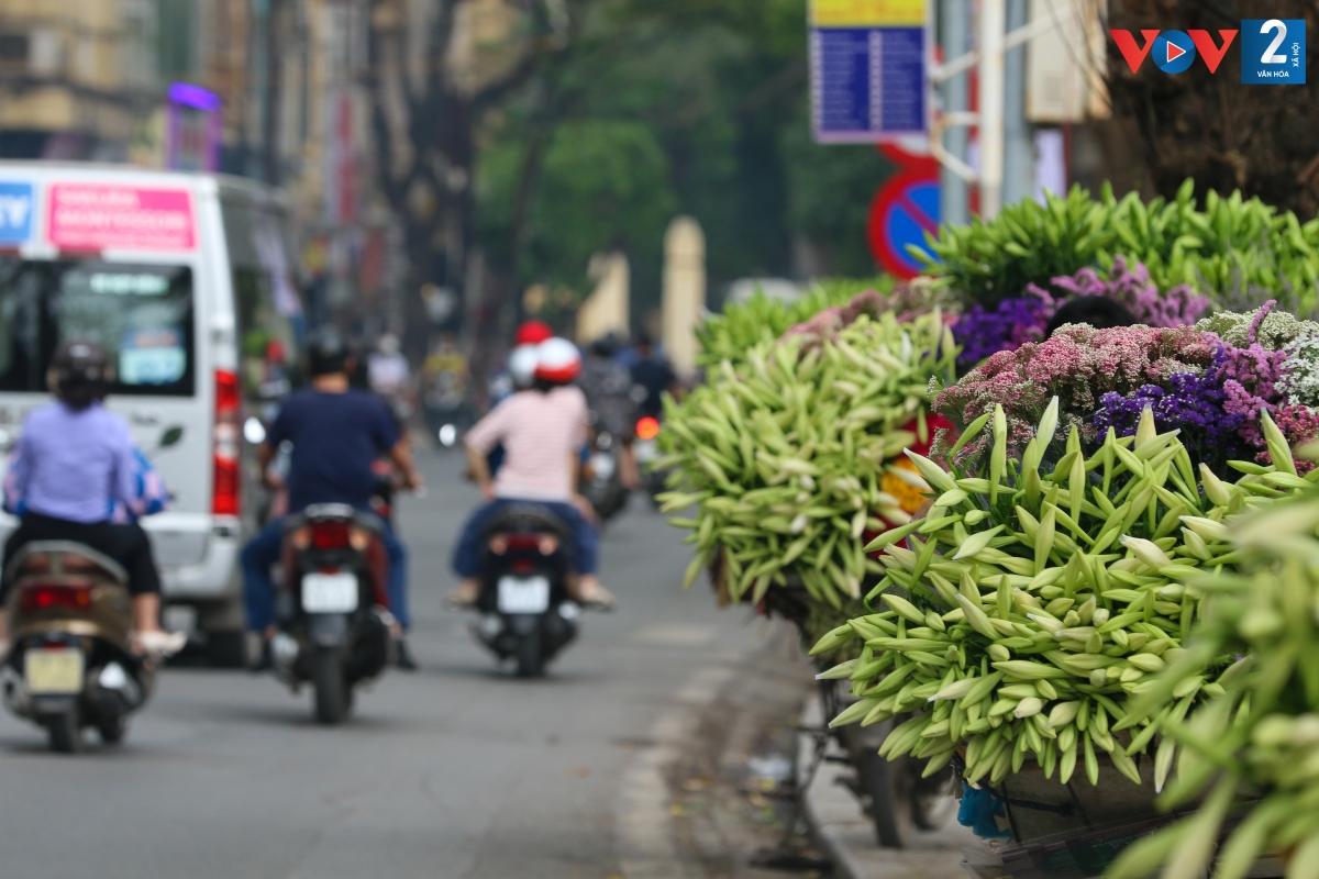 Chỉ bừng nở trong tháng Tư, hoa loa kèn Hà Nội được mệnh danh là ‘Hoa tháng Tư’. Những ngày này, đi trên đường phố, dù tất bật vội vàng, ngược xuôi, lòng người như chậm ngắm nhìn những gánh hoa loa kèn góp phần làm đẹp Thủ đô.