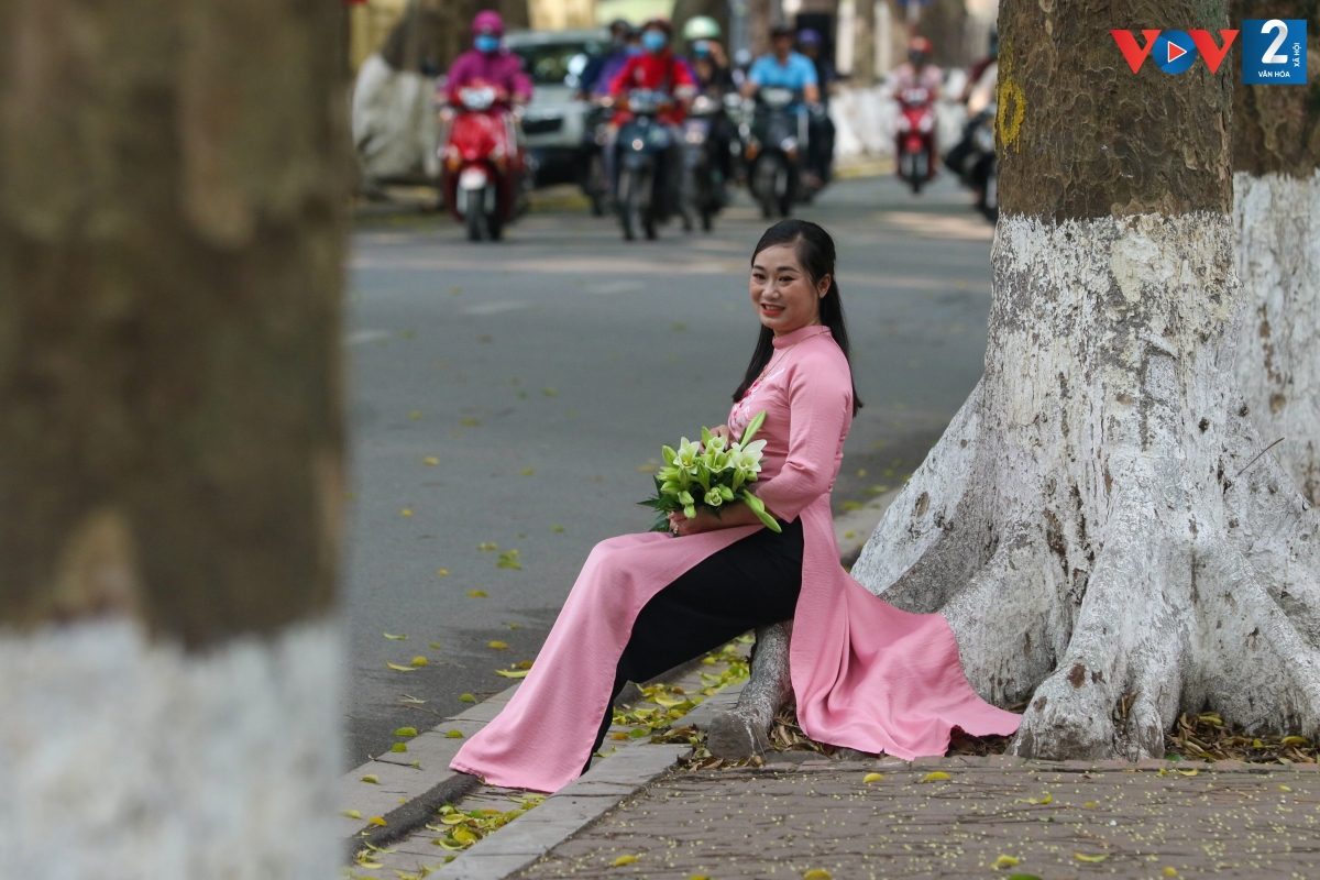 Với người Hà Nội, loa kèn là loài hoa dịu dàng, tinh khôi, đi vào thi ca, nhạc họa.