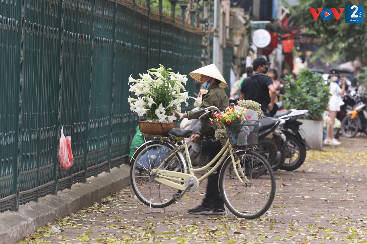 Trên tuyến phố Phan Đình Phùng, những gánh hoa loa kèn giữa mùa lá sấu rụng cũng tạo nên khung cảnh nên thơ hiếm có.