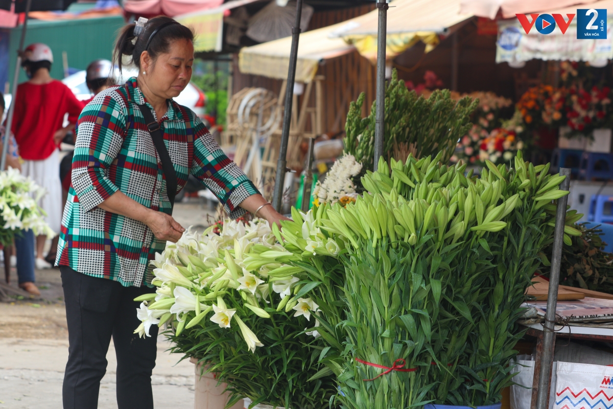 Theo các tiểu thương tại chợ hoa Quảng Bá, giá hoa năm nay chỉ tương đương, thậm chí rẻ hơn mùa hoa năm ngoái. Chính vụ, hoa rẻ tới một nửa so với đầu mùa.