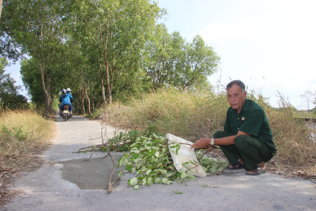 Cựu chiến binh Châu Thanh Hiệp dùng cây làm biển cảnh báo đường