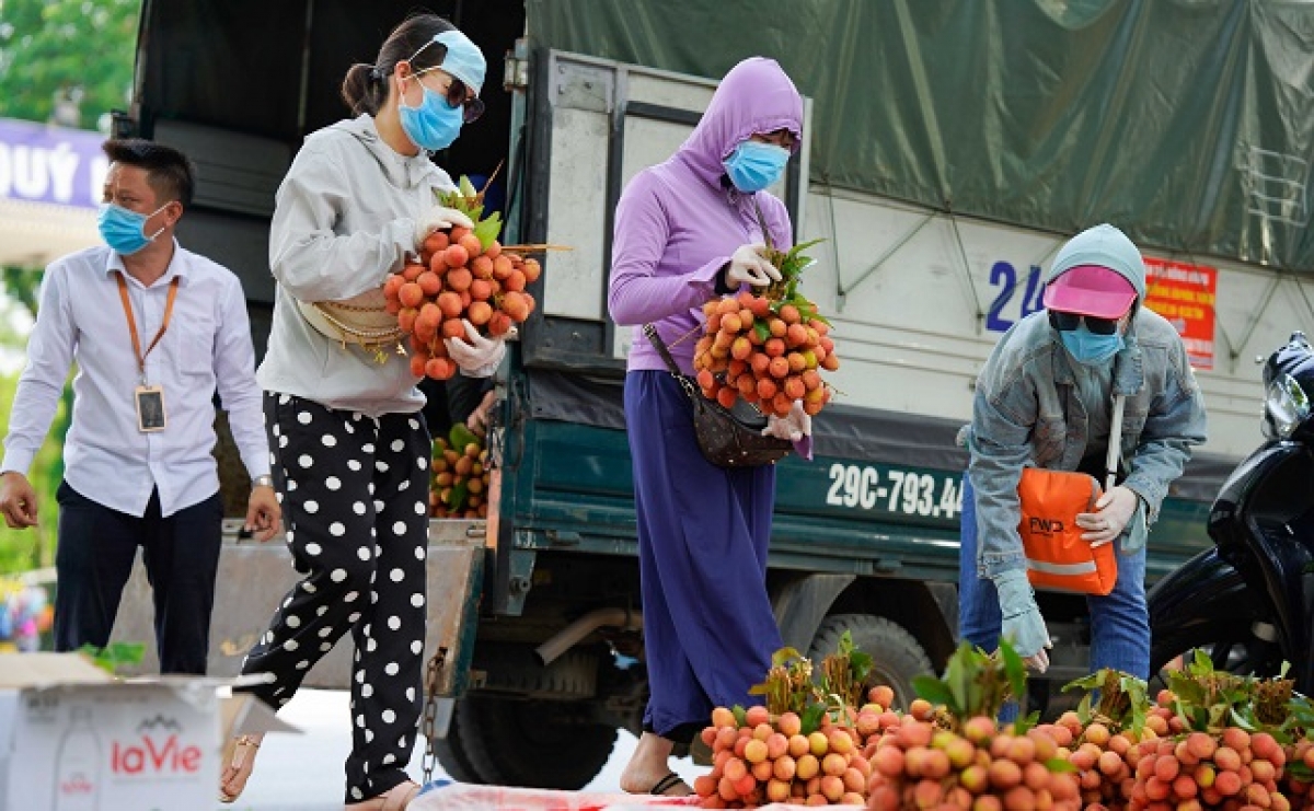 Hỗ trợ nông dân Bắc Giang tiêu thu vải thiều