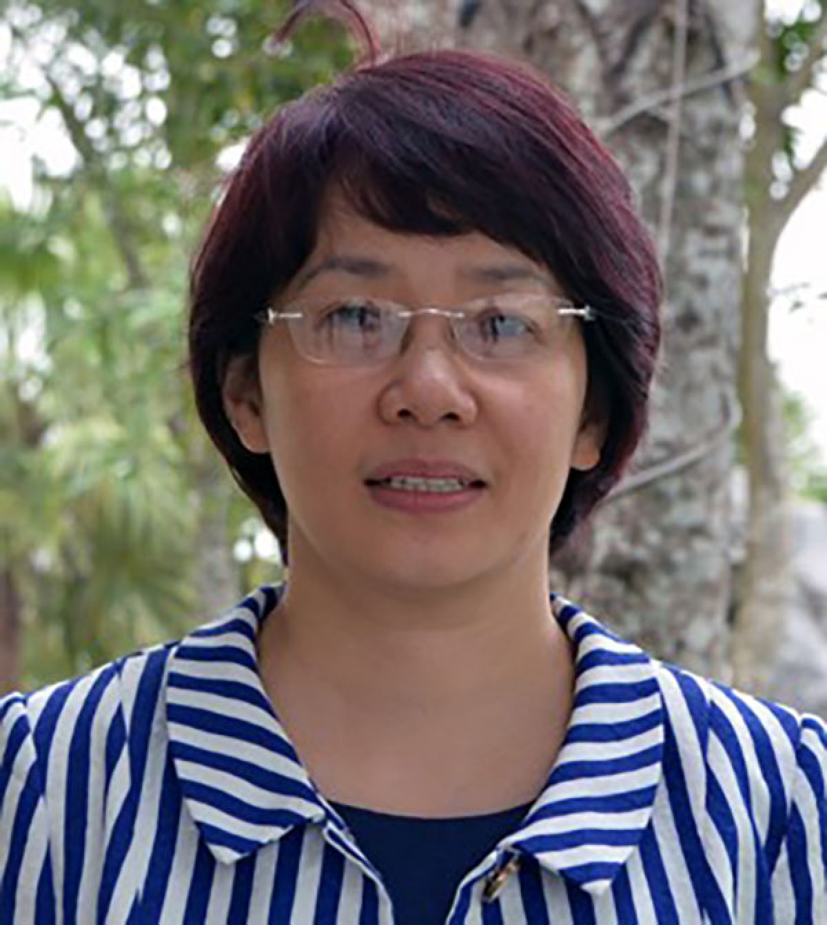 Bà Phan Thị Hải – Phó giám đốc Quỹ Phòng chống tác hại thuốc lá