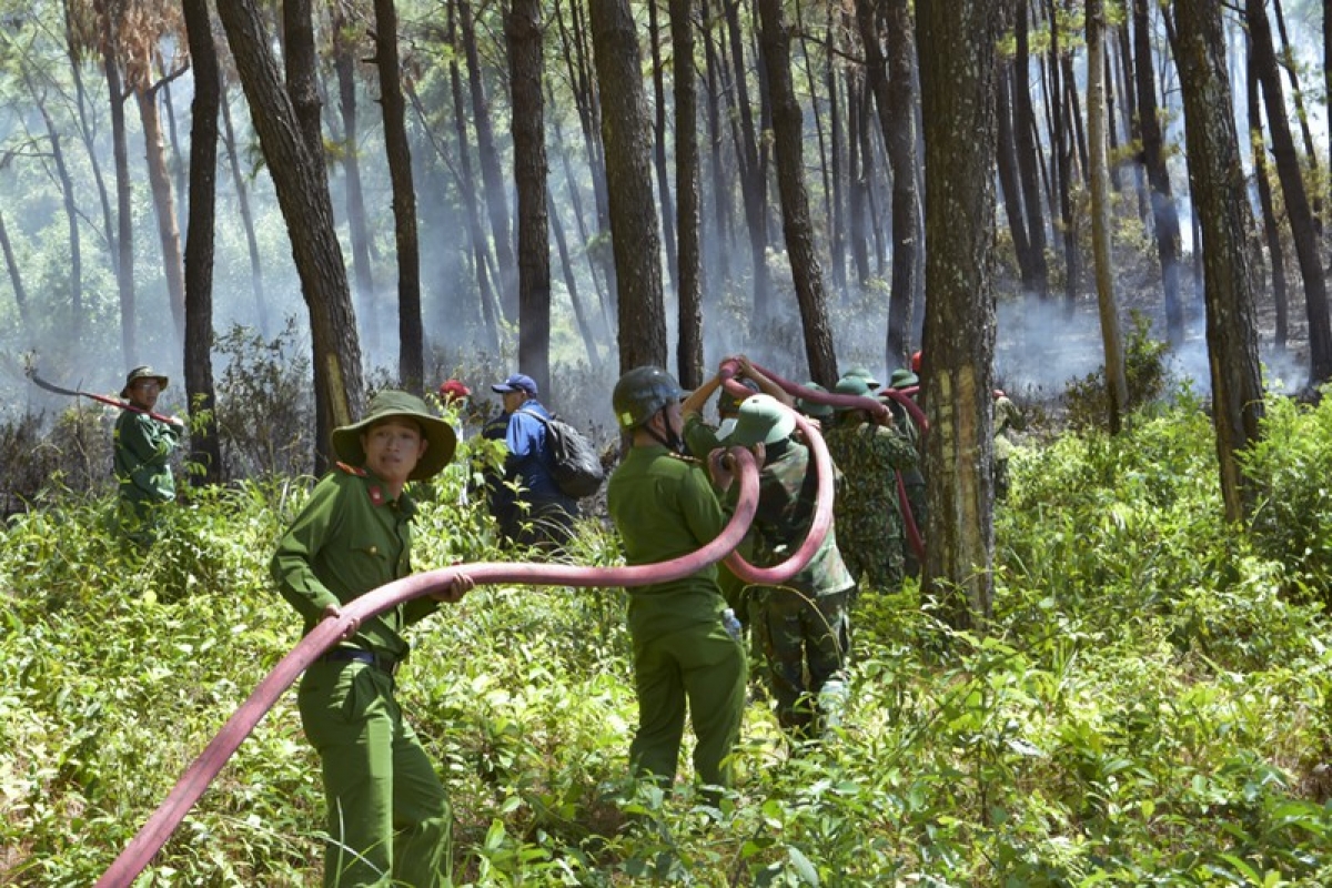 Lực lượng chức năng tham gia dập lửa tại khu rừng thuộc tiểu khu 152
