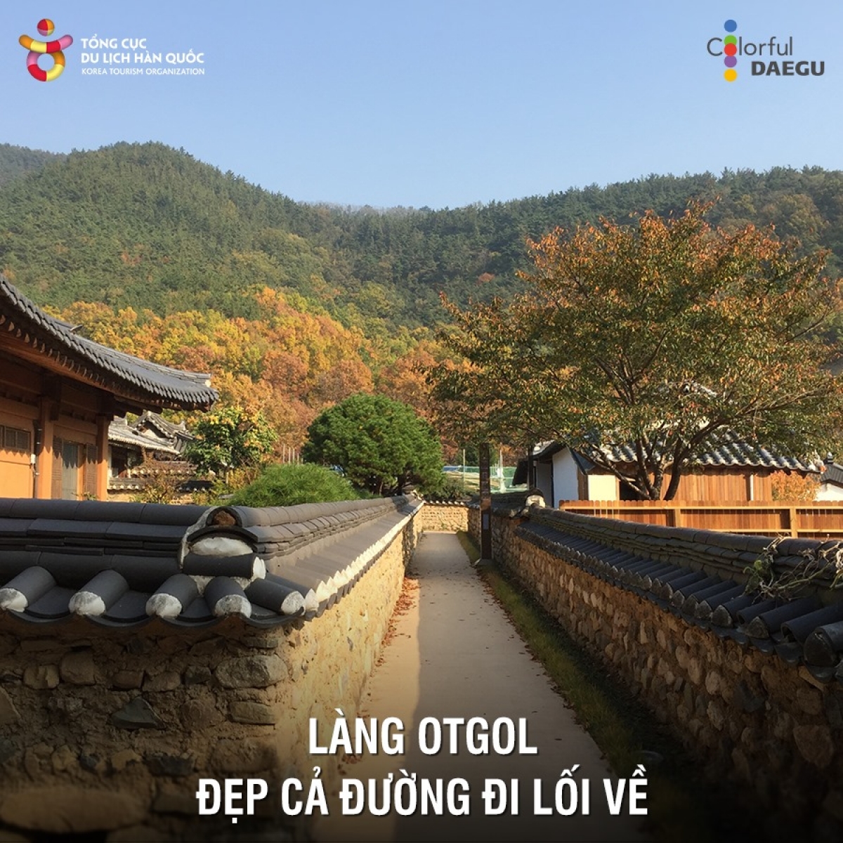 Tại Daegu, làng Otgol là địa điểm tuyệt vời để trải nghiệm cảm giác sống trong những ngôi nhà truyền thống Hanok