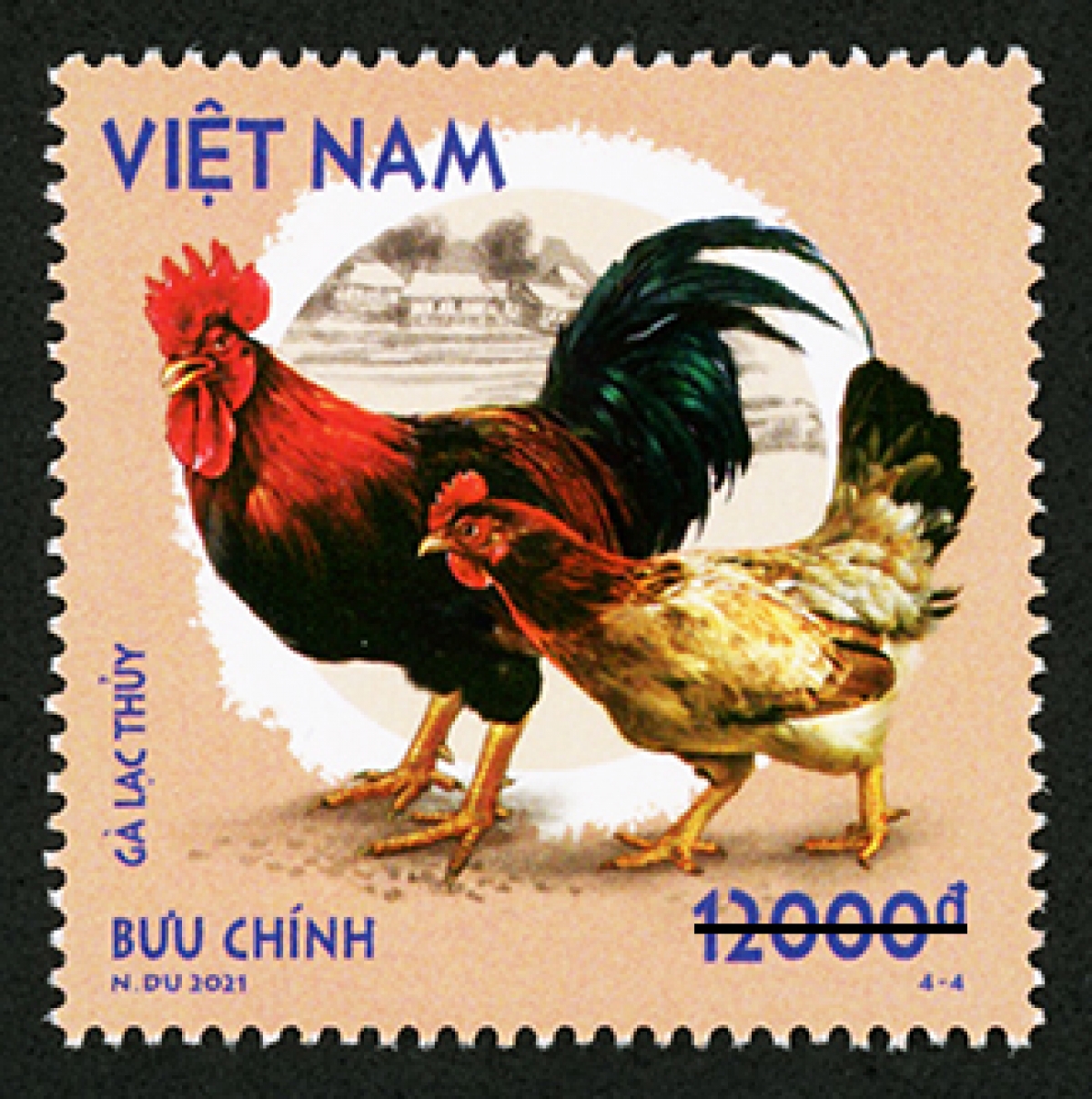 Mẫu 4-4: Gà Lạc Thủy, là giống gà thuần chủng (bản địa) của Việt Nam, được coi là giống gà đặc hữu và quý hiếm, có nguồn gốc từ huyện Lạc Thủy, tỉnh Hòa Bình và được nuôi từ khá lâu đời, là loài đang được bảo tồn nguồn gen. 