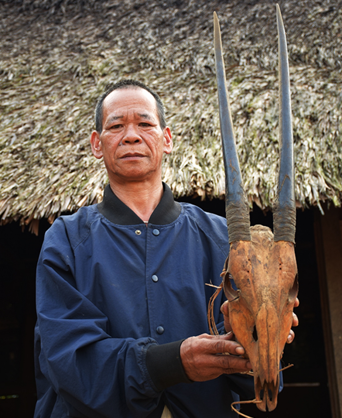 Người dân thôn Aur, xã A Vương, huyện Tây Giang Quảng Nam lưu giữ sừng và đầu con sao la săn bắt được. Ảnh: Khu bảo tồn loài sao la Quảng Nam.