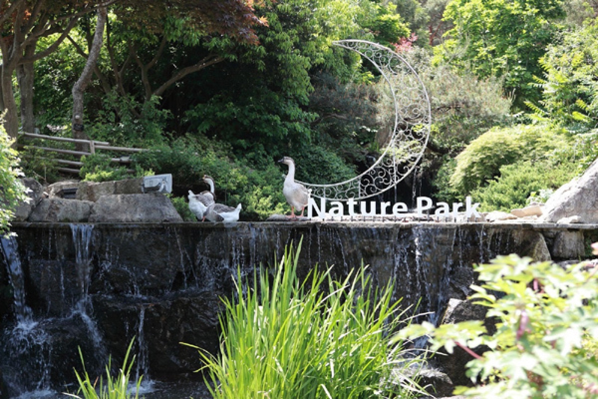 Công viên Tự nhiên Daegu là nơi cư trú của nhiều loài động thực vật quí hiếm