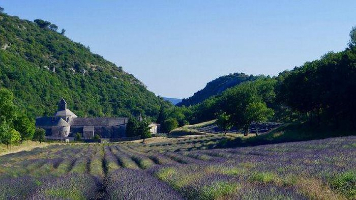 Sở hữu những khung cảnh tuyệt đẹp như cánh đồng hoa oải hương, hoa hướng dương hay cây ô liu, Provence (Pháp) được biết đến với nhịp sống chậm rãi. Quanh khu vực có hơn 2.000 điểm du lịch để tham quan và 14.000 lựa chọn để lưu trú, vì vậy du khách sẽ bận rộn với những trải nghiệm thay vì sử dụng điện thoại.