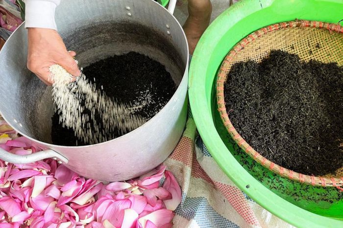Ướp gạo sen vào trà, sau đó ủ, sấy. Công đoạn này phải làm đi làm lại 3 lần với 21 ngày mới hoàn thiện 1 mẻ trà sen.