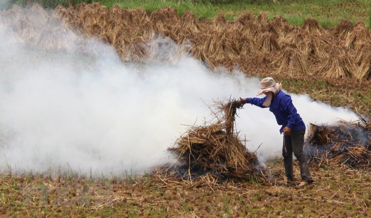 Người nông dân đốt rơm, rạ ngày ngoài đồng vừa lãng phí, vừa gây ô nhiễm môi trường.
