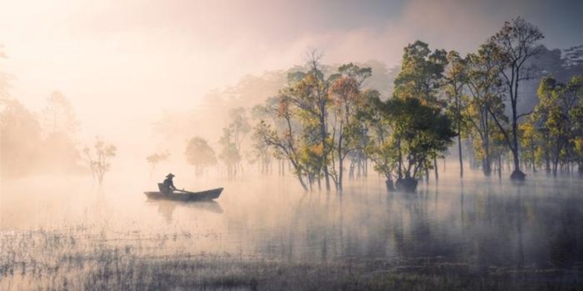 Nhiếp ảnh gia Việt đoạt Giải Vàng ảnh phong cảnh quốc tế 