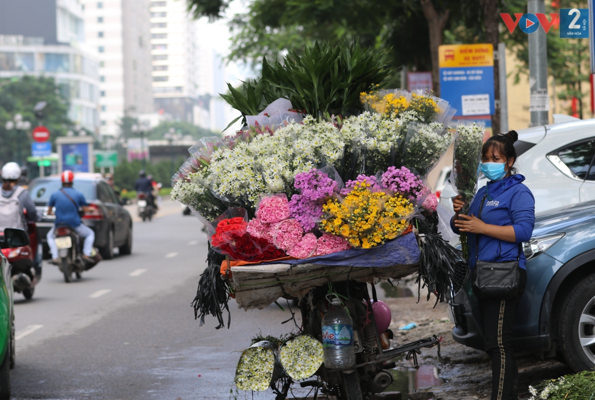 Những con phố bán nhiều cúc hoạ mi nhất là Giảng Võ, Lê Văn Lương, Yên Phụ, Hàng Bông, Mai Xuân Thưởng…