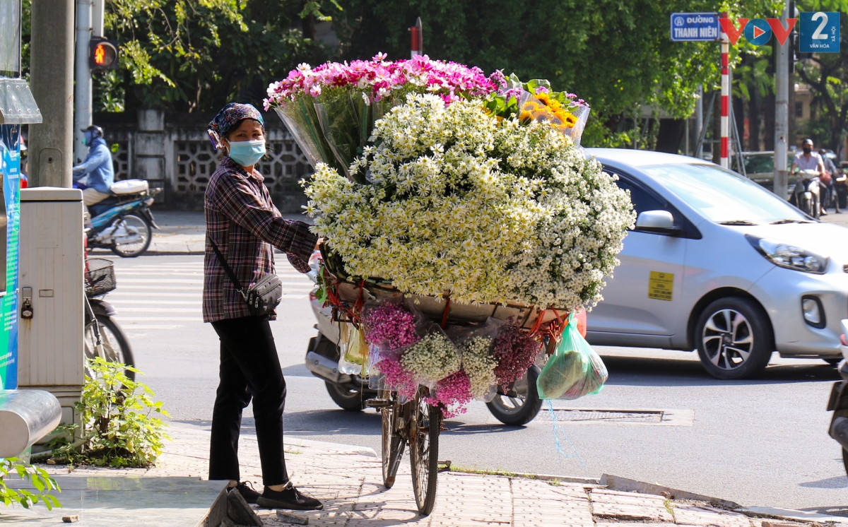 Không khó để có thể bắt gặp những xe hoa rực rỡ sắc màu đi trên phố.
