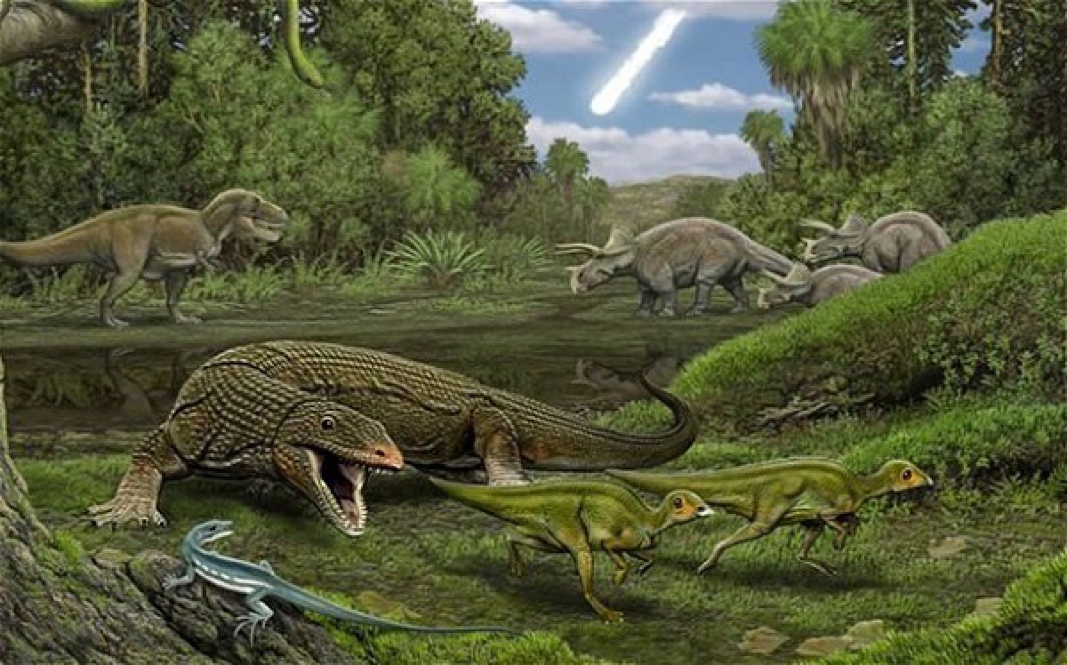 Theo nhiều nhà khoa học, nguyên nhân cái chết của nhiều loài khủng long và động vật ở đây là do một trận mưa lớn kéo dài. Khoảng 230 triệu năm về trước, nơi này vẫn tồn tại như một thung lũng sông màu mỡ