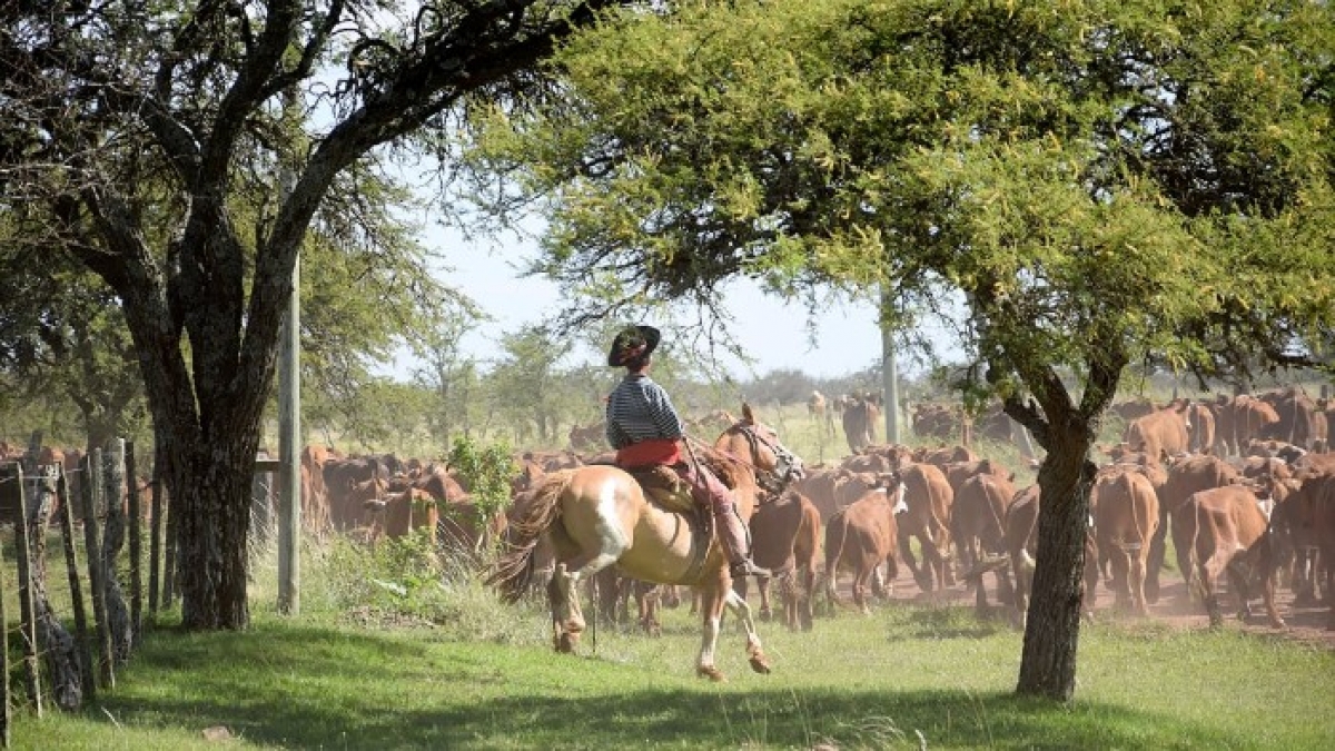Trải nghiệm cưỡi ngựa trong Khu bảo tồn Iberá. Ảnh: CNN