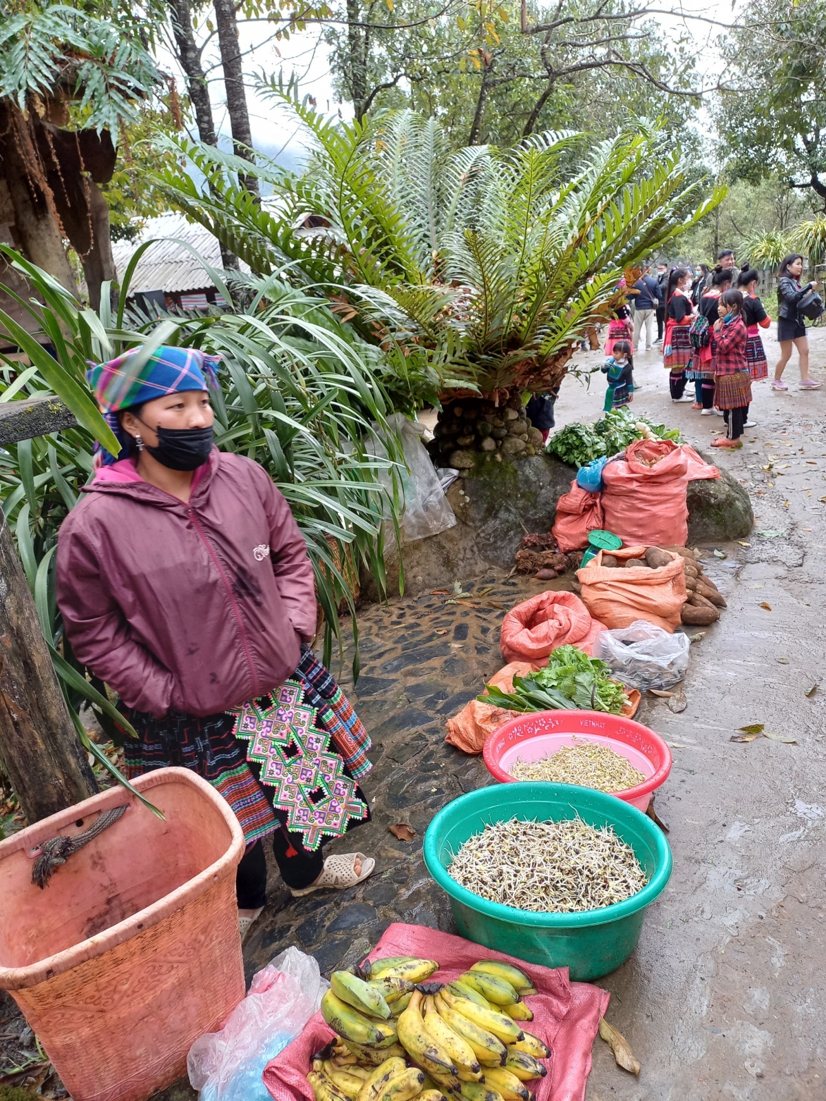 Chuối rừng và giá người dân tự làm, tự trồng đem bán.
 