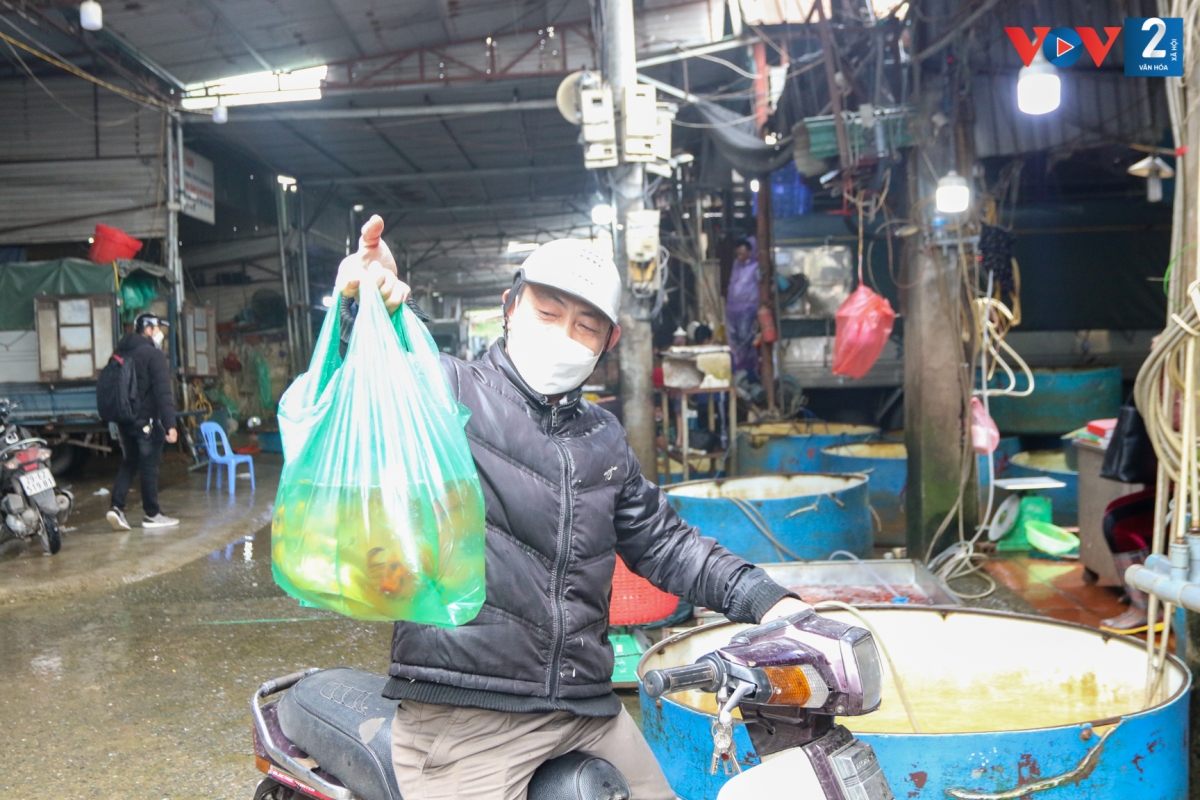 Ông Minh Ngọc (Hoàng Mai, Hà Nội): "Chỗ cá chép này bằng tiền một cây quất cảnh mini. Cá đẹp nên tôi tranh thủ mua 1kg về thả bể, còn cá cúng thì mua sau".