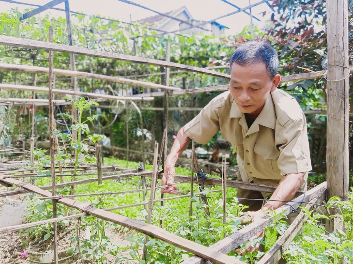 Cựu chiến binh Nguyễn Thái Minh chăm sóc vườn hoa của gia đình.