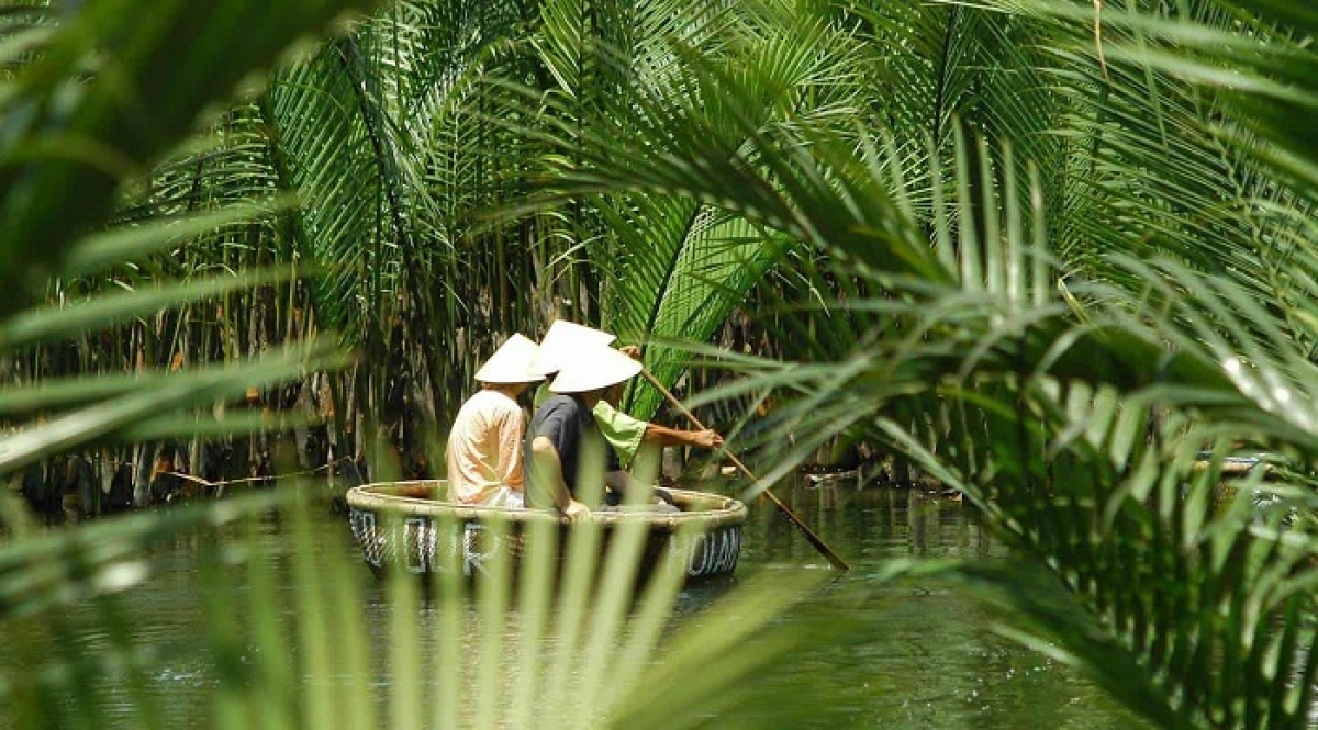 Rừng dừa Bảy Mẫu - Điểm du lịch sinh thái nổi tiếng ở Hội An, Quảng Nam