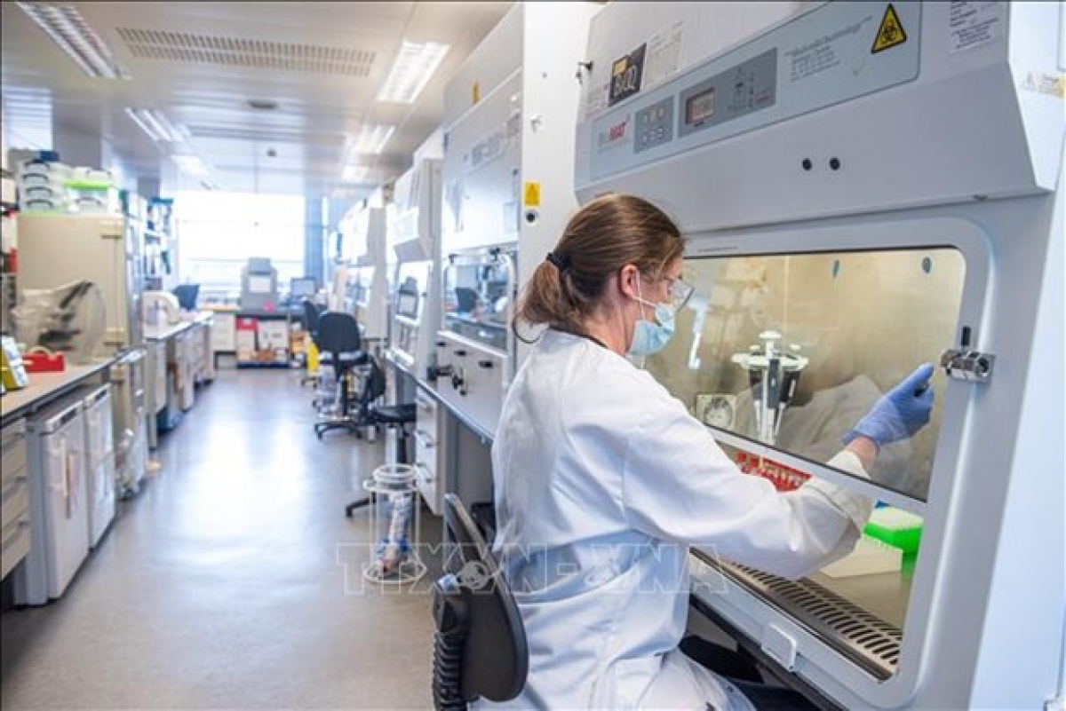 Nhân viên làm việc tại phòng thí nghiệm nghiên cứu vaccine ngừa COVID-19 tại trường đại học Oxford, Anh. Ảnh: AFP/TTXVN