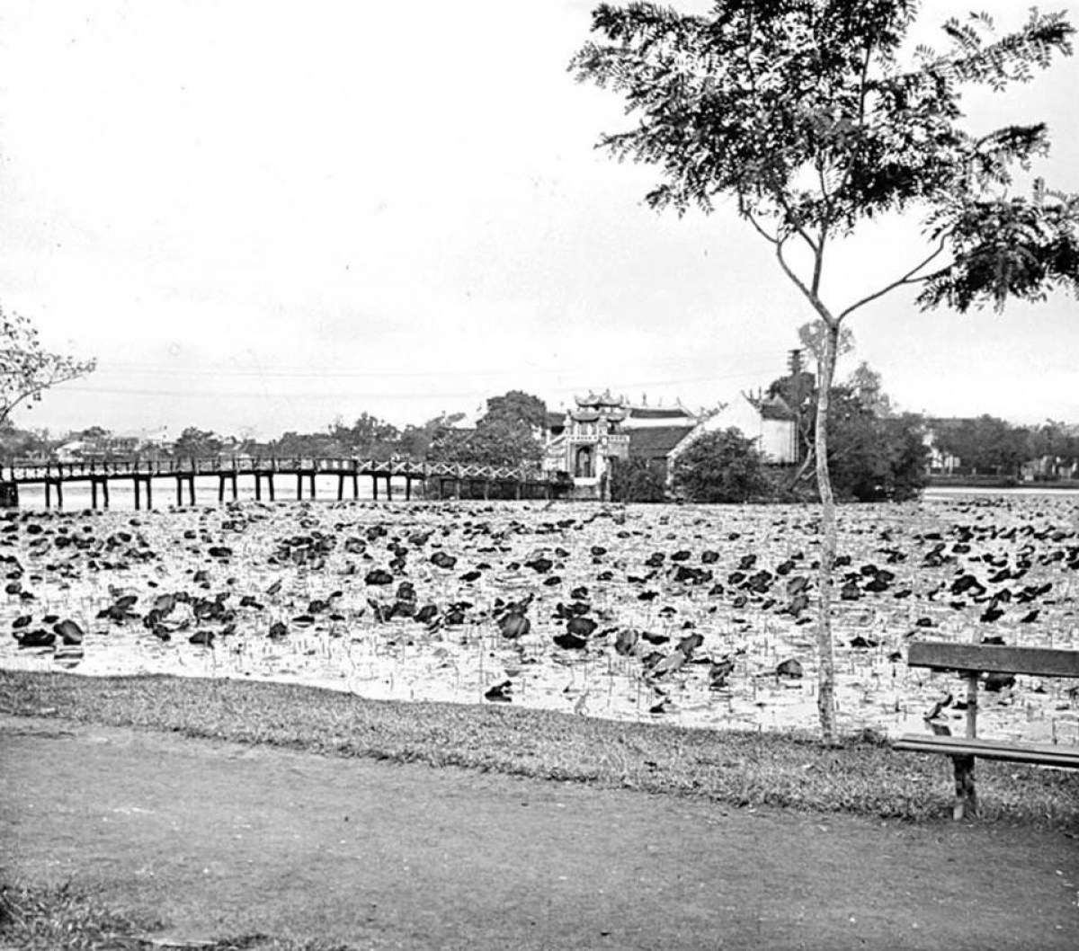 Cầu Thê Húc và đền Ngọc Sơn nhìn từ bờ Hồ Gươm, Hà Nội khoảng năm 1905-1908. Ảnh: Edgard Imbert.