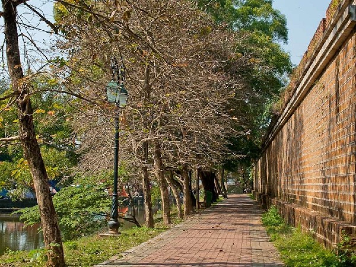 Một góc khuôn viên bên trong thành cổ Sơn Tây sẽ là tuyến phố đi bộ
 