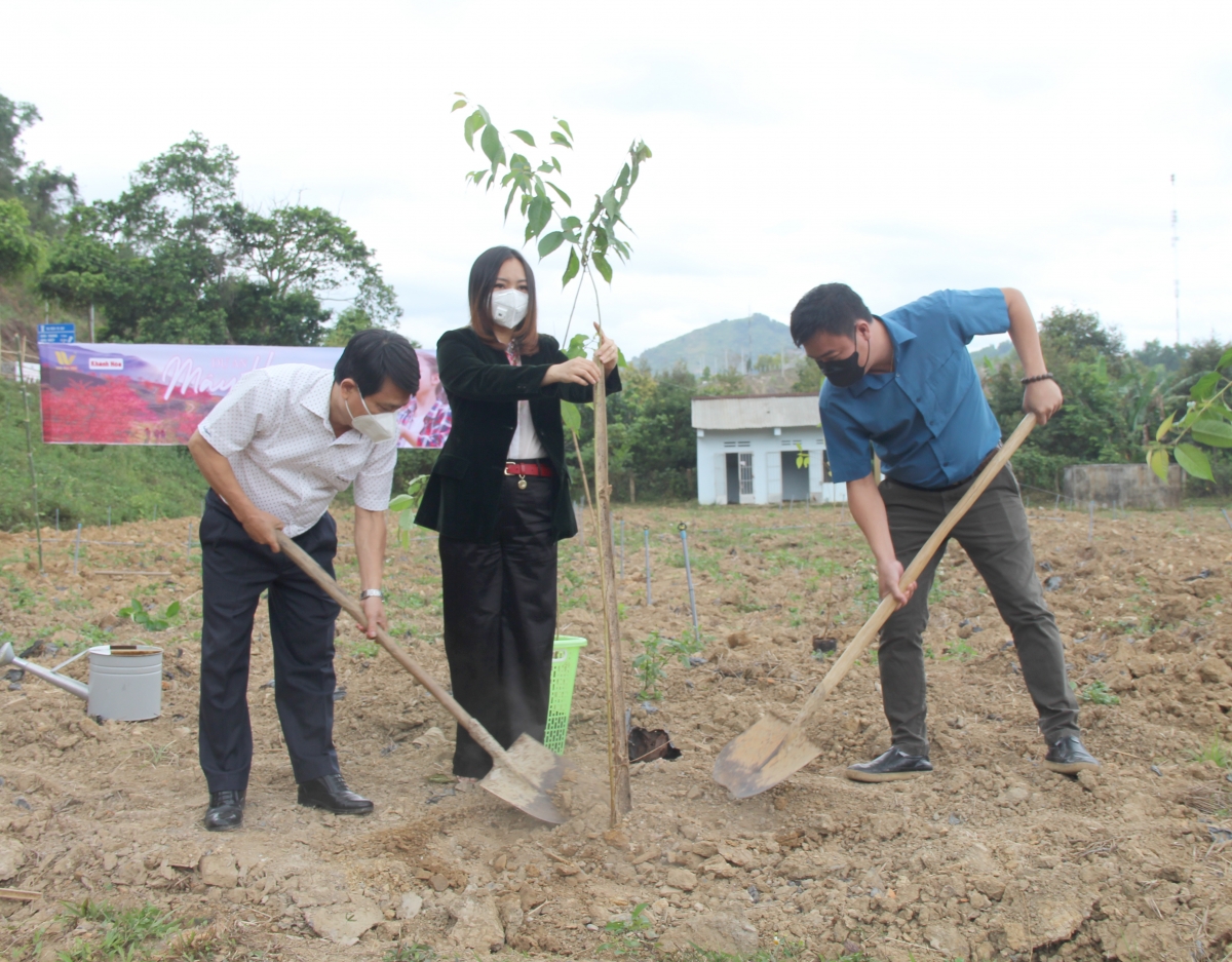 Trồng cây tại vườn hoa thanh niên Huyện Đoàn Khánh Sơn