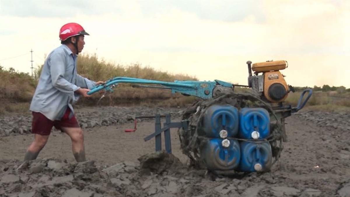 Chiếc máy cày độc đáo, cơ động trên mội địa hình chủ động cải tạo đất trong quá trình nuôi tôm, giúp nông dân gặt hái nhiều thành công trong sản xuất.