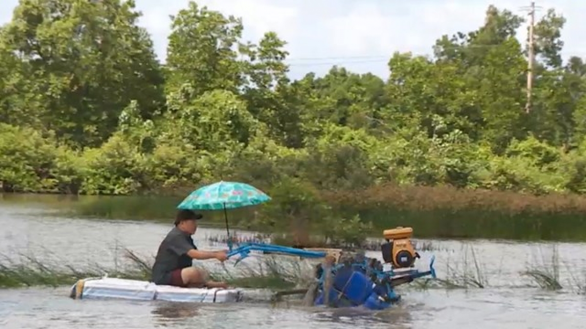 Chiếc máy cày nổi trên mặt nước độc đáo của ông Nguyễn Văn Rô, ở ấp Giá Ngự, xã Đông Hưng, huyện Cái Nước tỉnh Cà Mau.