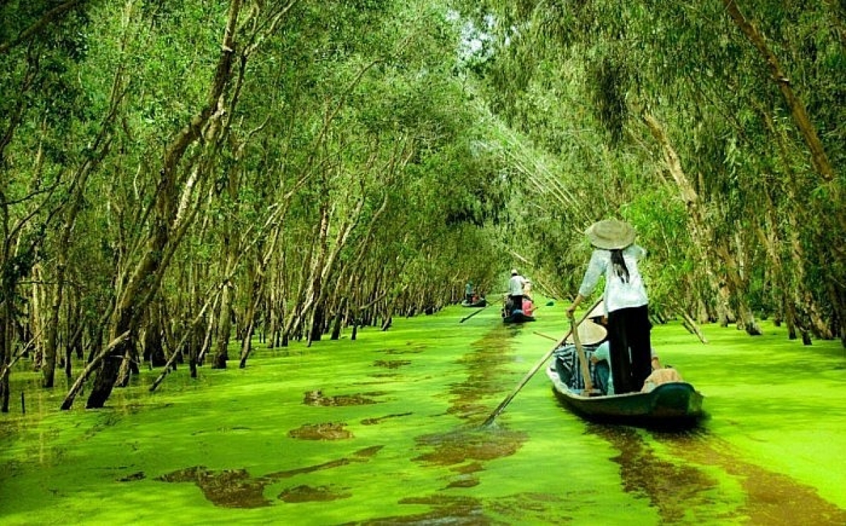 Trải nghiệm du lịch xanh trong rừng U Minh Hạ