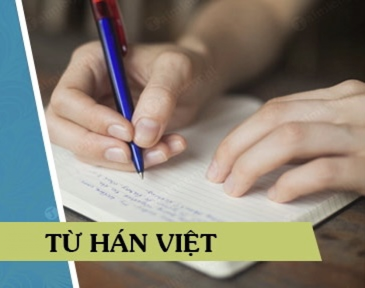 Vai trò của từ Hán Việt