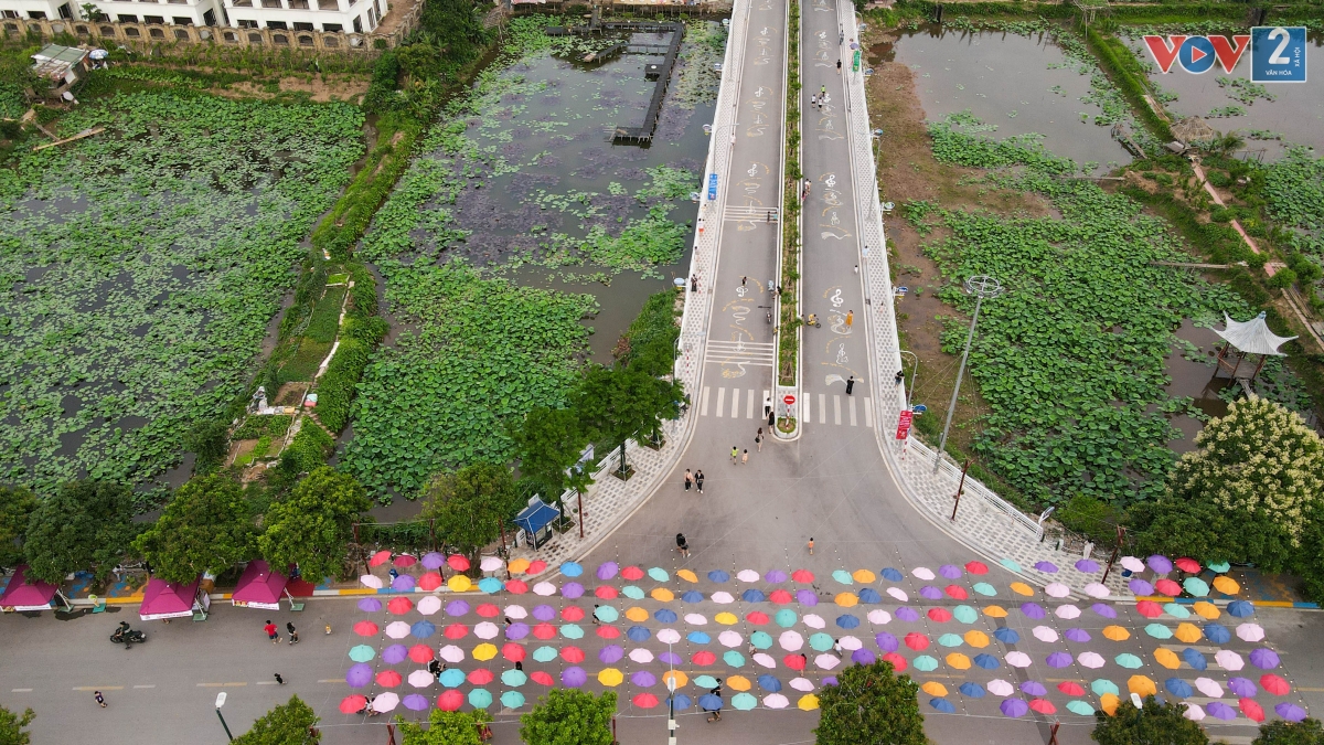 “Thời gian tới quận sẽ tổ chức kết nối lại các điểm du lịch trên địa bàn quận với phố đi bộ Trịnh Công Sơn như Công viên nước Hồ Tây, các vườn hoa; tổ chức các giải thể thao như xe đạp, chạy bộ để tạo thêm sản phẩm du lịch mới, hấp dẫn người dân và du khách hơn nữa”, ông Tuấn cho biết thêm.