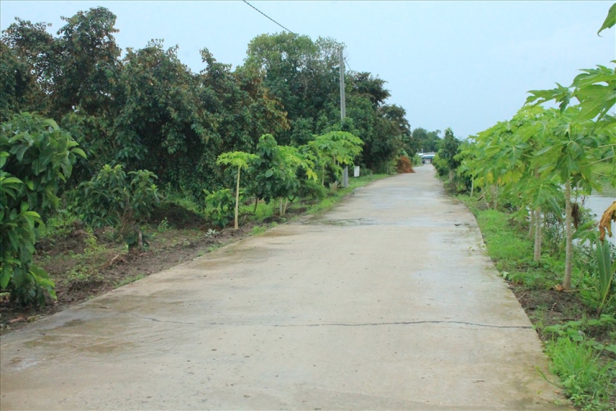 Con lộ mới thẳng tắp ở ấp 3, xã Tân Hòa, huyện Châu Thành A, tỉnh Hậu Giang
