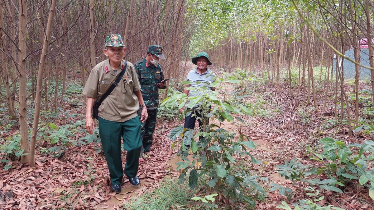 Ông Thụy và cán bộ Bộ Chỉ huy quân sự tỉnh Bình Định tìm kiếm vị trí chôn lấp liệt sĩ thứ 2 trên đồi Xuân Sơn