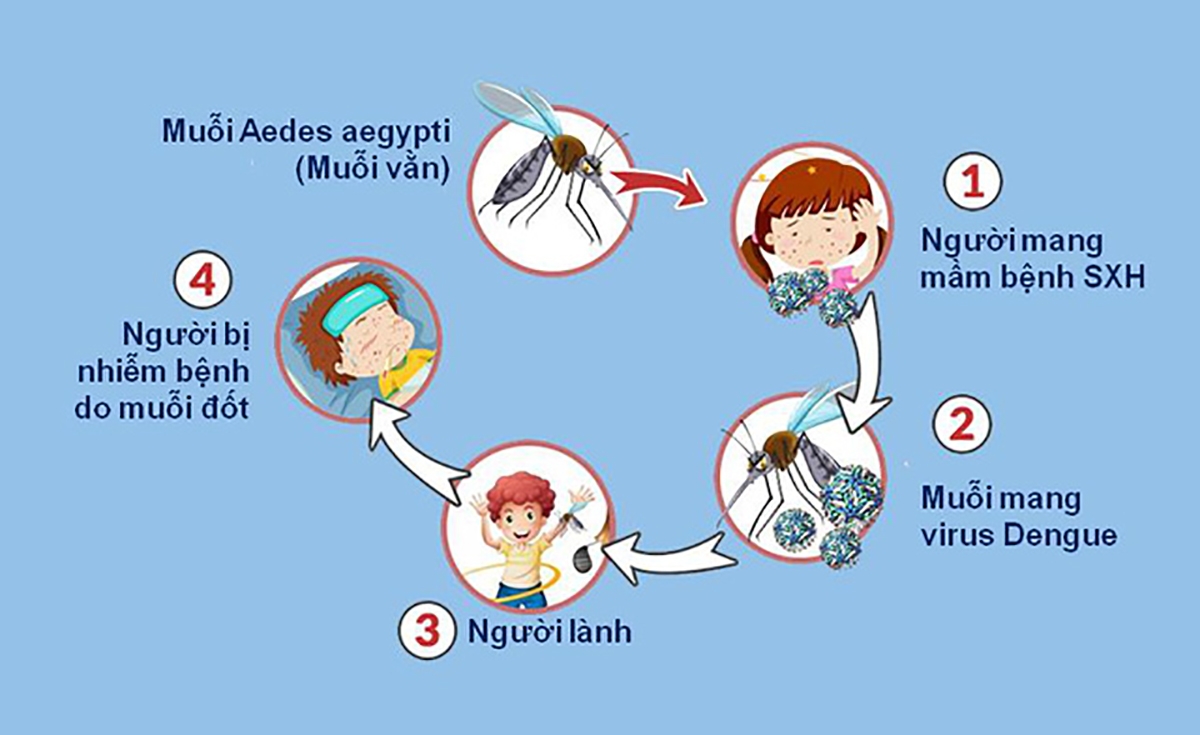 Phòng bệnh sốt xuất huyết tốt nhất là diệt muỗi, diệt bọ gậy, loăng quăng, phòng chống muỗi đốt                                                                                