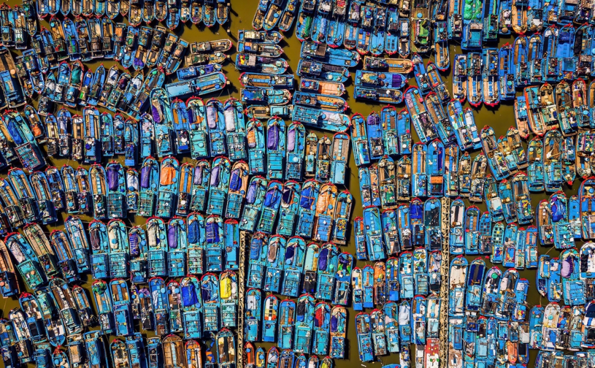 Tác phẩm Matrix of boats (Ma trận tàu cá) của nhiếp ảnh gia Cao Nguyên Vũ (tức Alex Cao, 38 tuổi, ngụ TP Quảng Ngãi) đã giành giải nhất hạng mục "Màu sắc" (General - Colour) ở Giải thưởng Nhiếp ảnh quốc tế Hamdan (HIPA) 