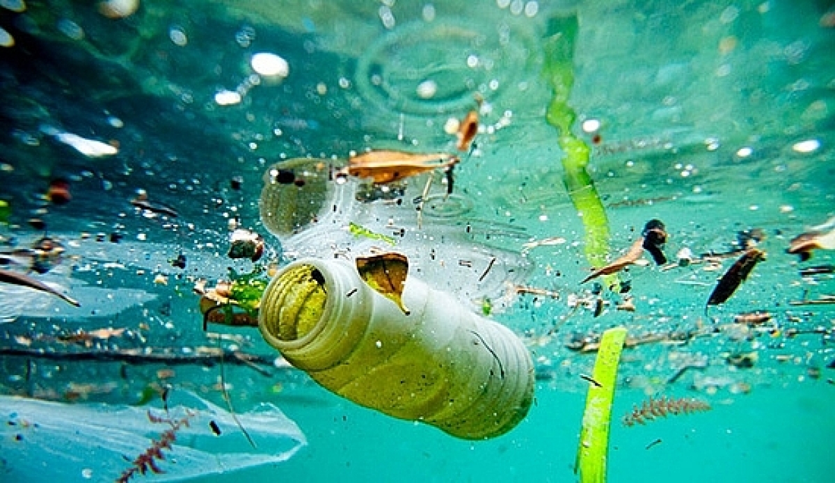 Ô nhiễm hạt vi nhựa: thảm họa môi trường và sức khỏe