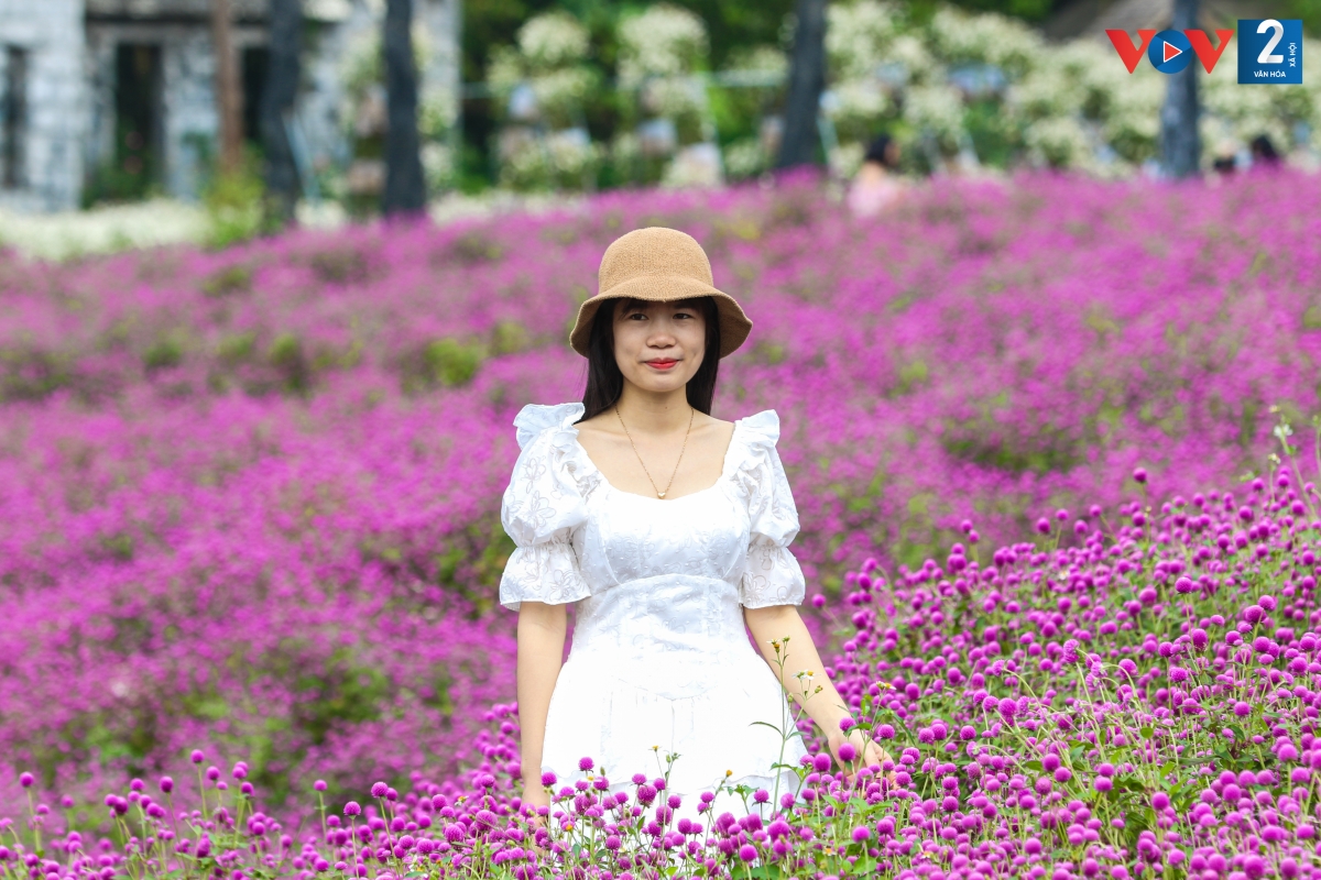 Khu vườn rộng hơn 10.000 m2 với khoảng 150 nghìn cây hoa bách nhật trong Thảo nguyên hoa thu hút các bạn trẻ đến tham quan, chụp ảnh.