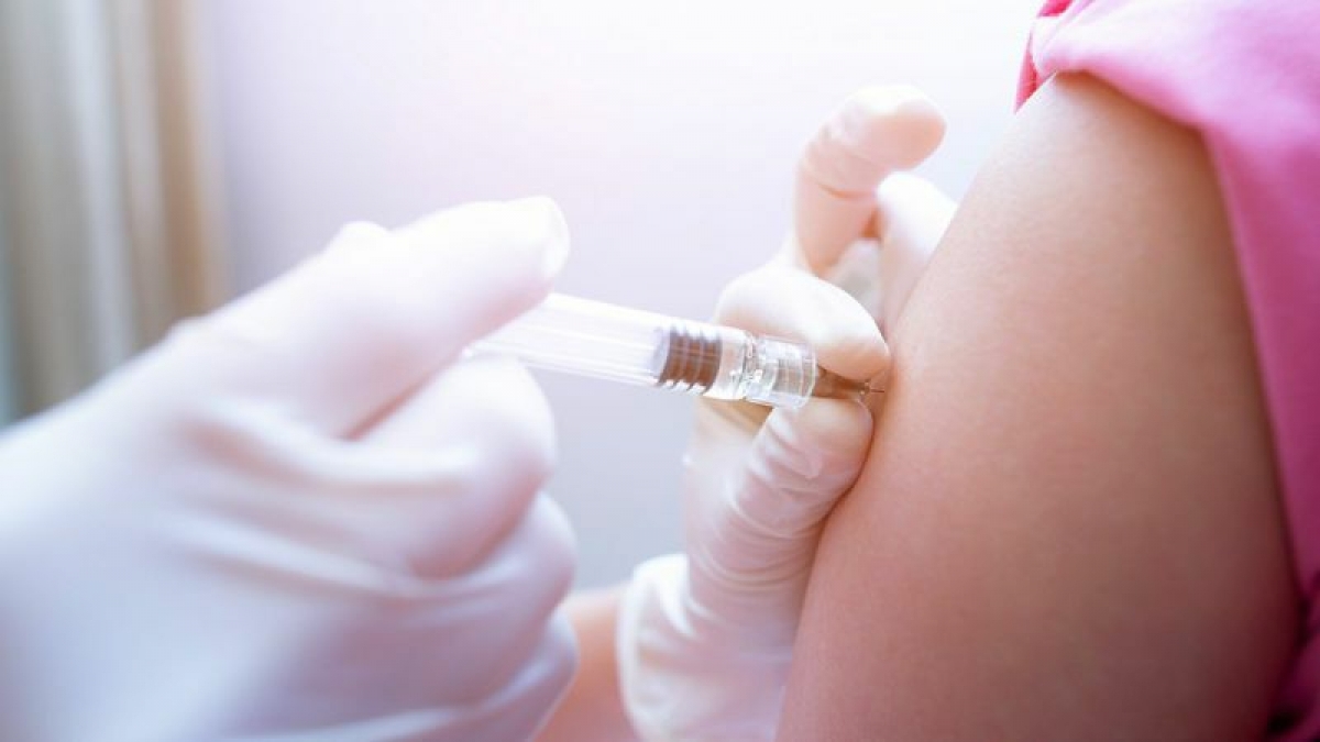 Khi bị động vật cắn, tiêm vaccine và huyết thanh kháng dại là biện pháp duy nhất phòng bệnh dại 
