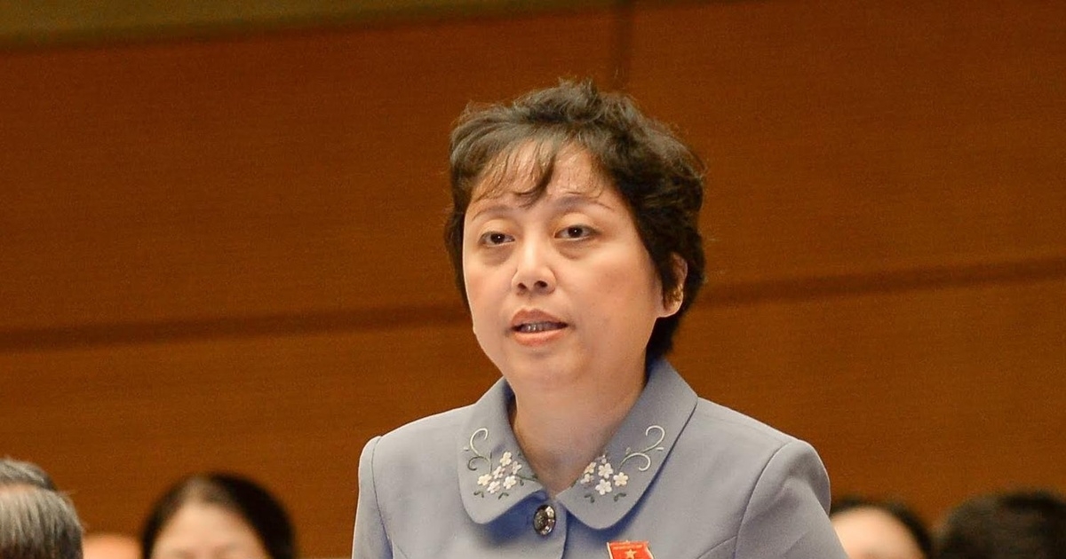 Bà Phạm Khánh Phong Lan, Ủy viên Ủy ban Xã hội của Quốc hội